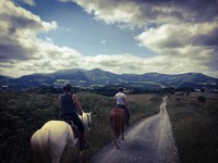 L'Equitation en pleine nature