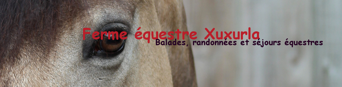 Ferme équestre Xuxurla
